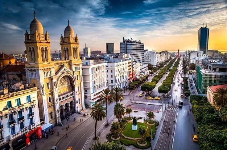 14-Days journey in Tunisia